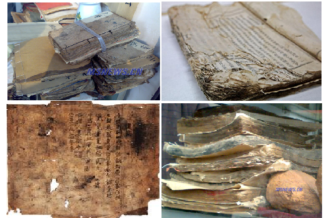 文物档案的保存现状及杀虫方式