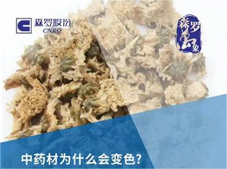 《森罗万象》，万象包罗 第2问