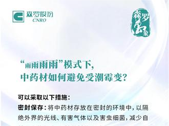 《森罗万象》，万象包罗 第8问