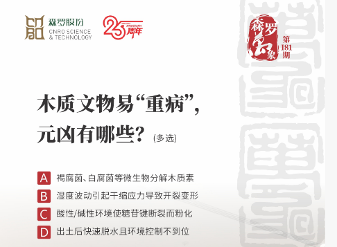 木质文物易“重病”，元凶有哪些？